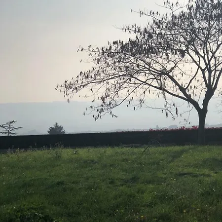 Rosa * Спольторе