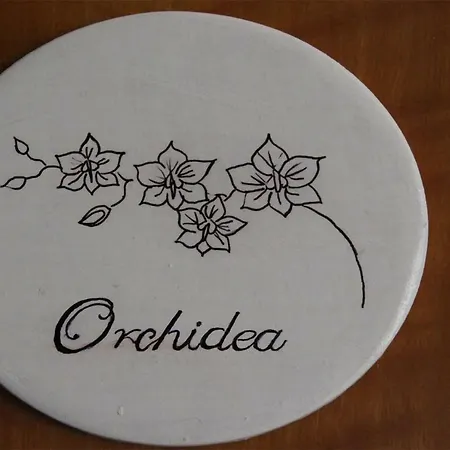Rosa
